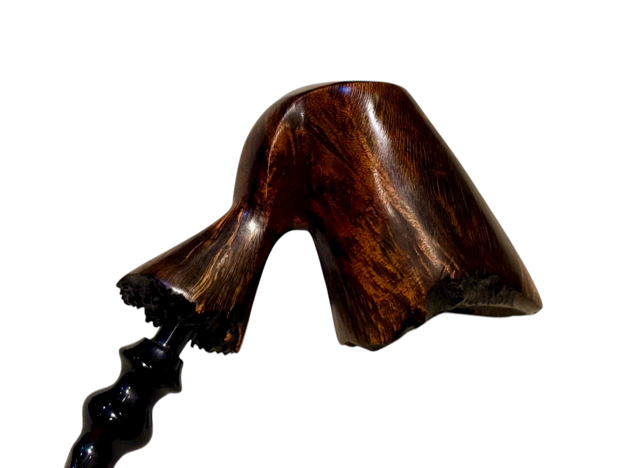 Photoroom_003_20251105_181553