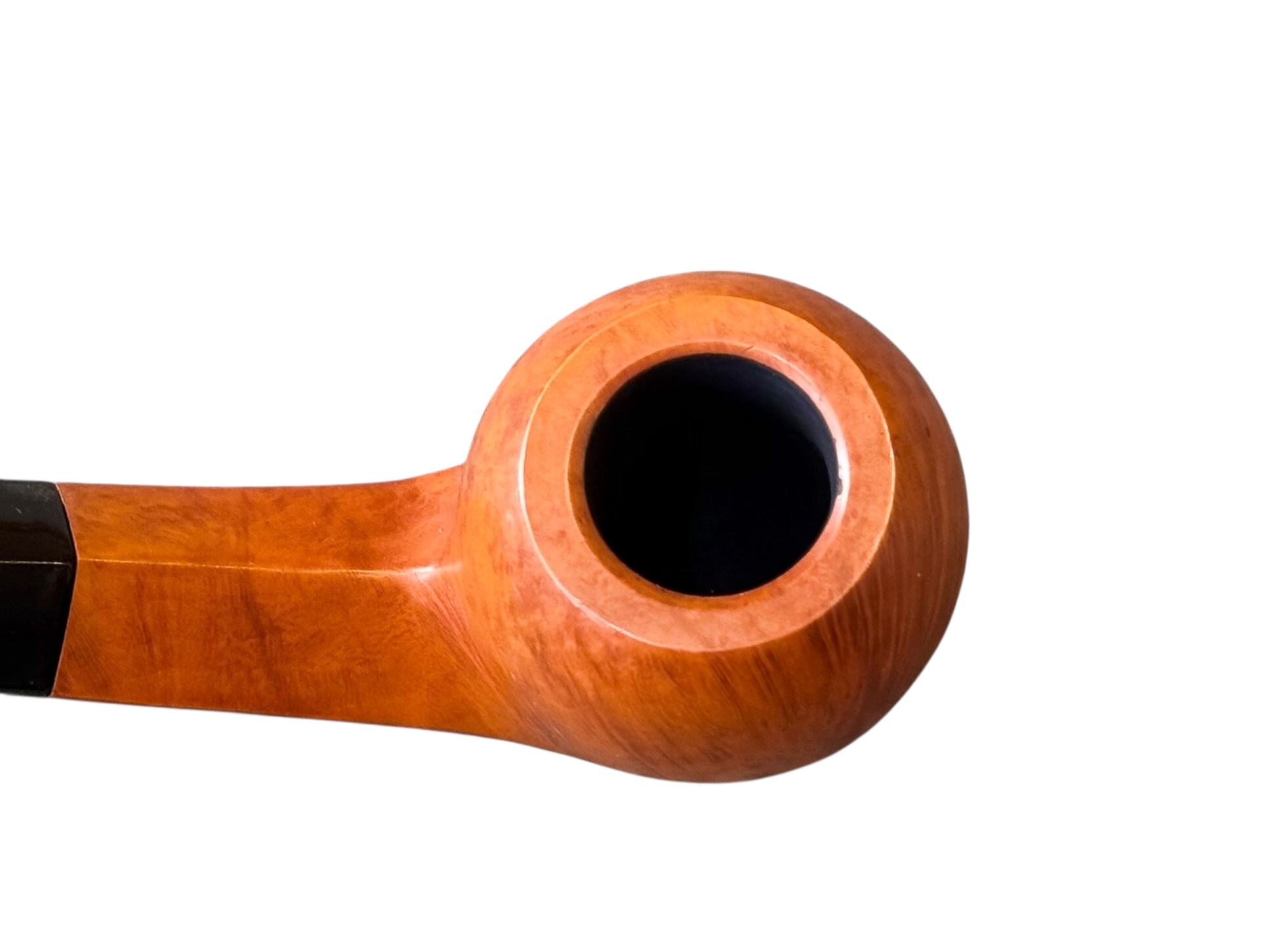 Photoroom_007_20251204_120338